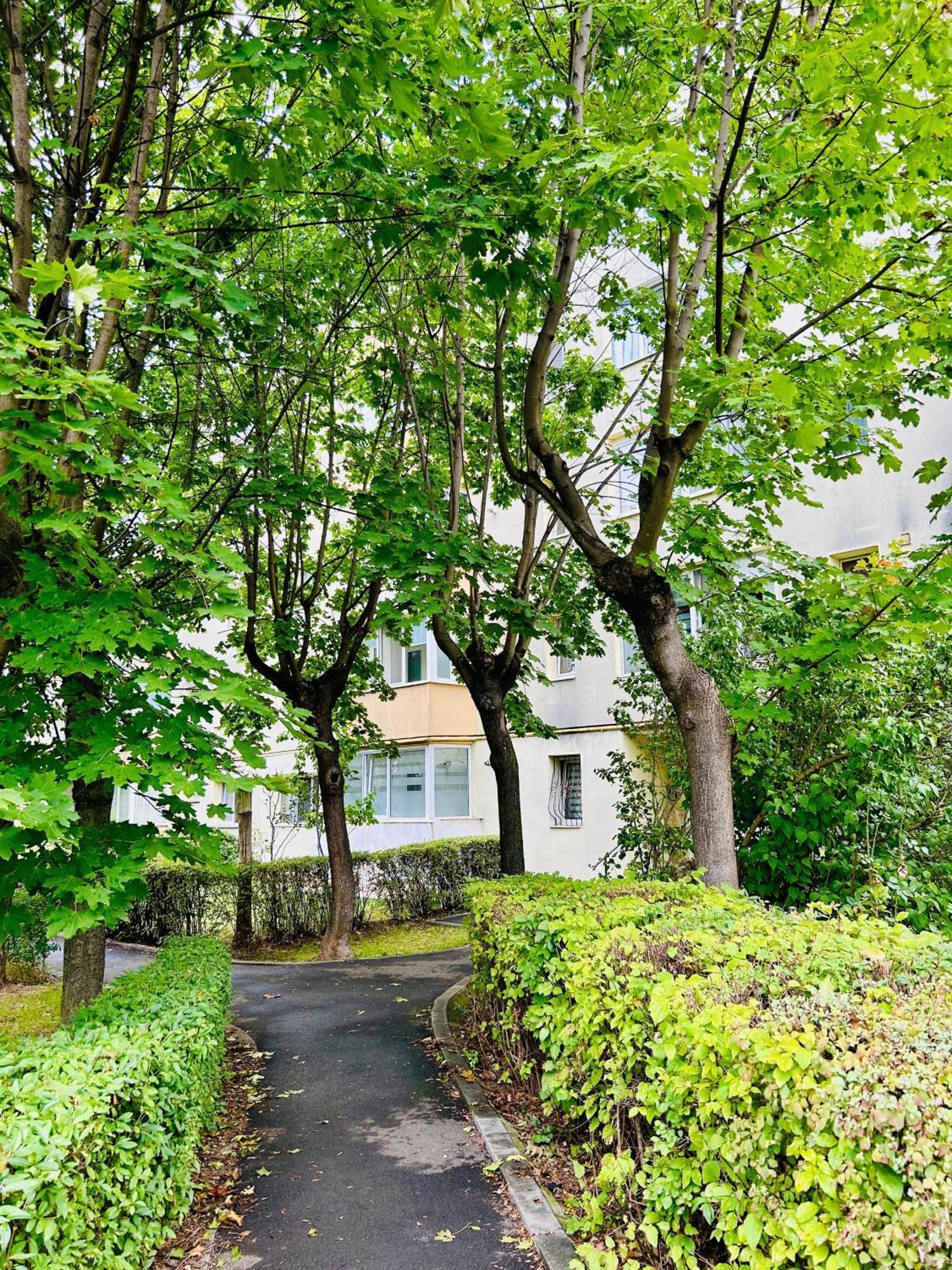 Chic Escape One - Free Parking Apartment Brasov Luaran gambar
